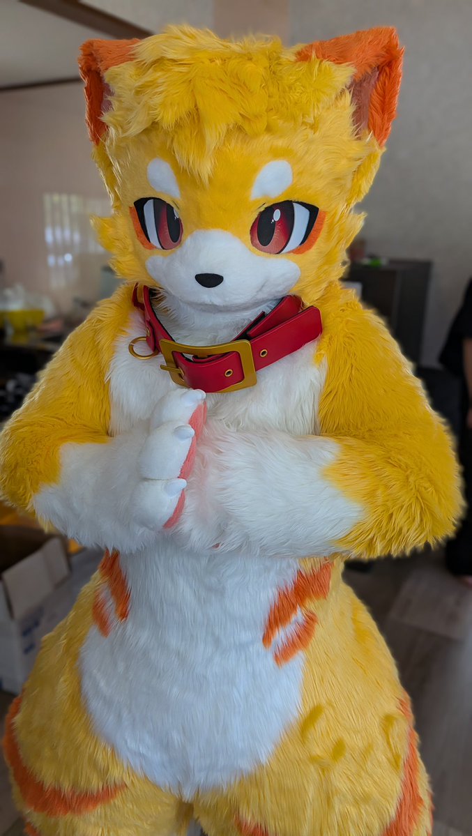 KemoPito's tweet photo. 僕は強いんだぞー！
オオカミだからね！🐺 https://t.co/BeE90VBcIi