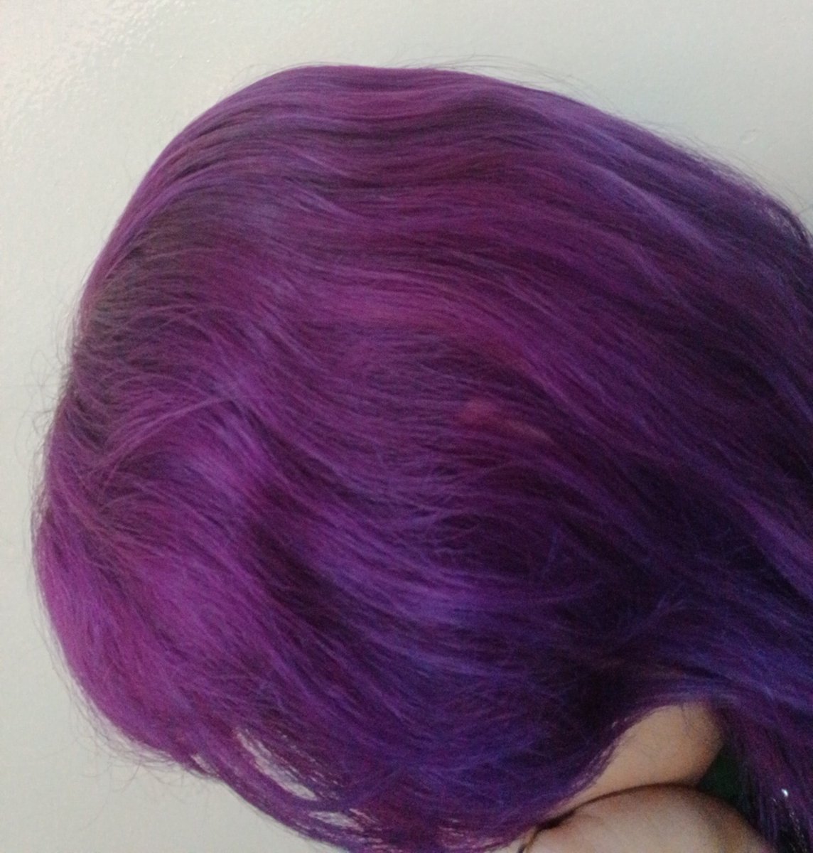 hatecaloris's tweet photo. meio que amo muito a cor do meu cabelo, me si to a própria uva https://t.co/gBeO5LwpkH