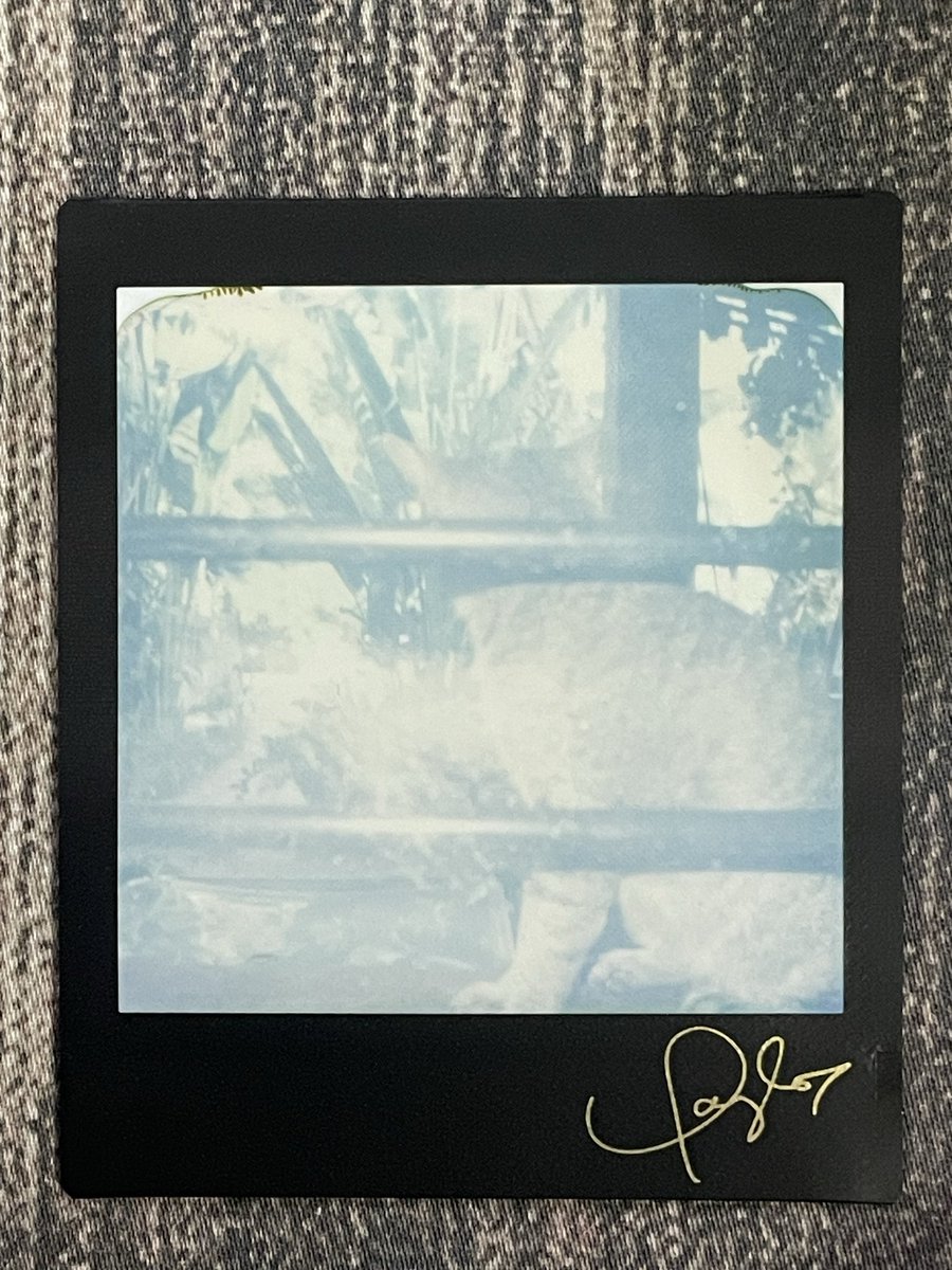 swiftxiety's tweet photo. i would do absolutely anything for her to bring back her signed film pack </3 reputation merch come back 💔💔💔💔💔 https://t.co/25AsLqpTEO
