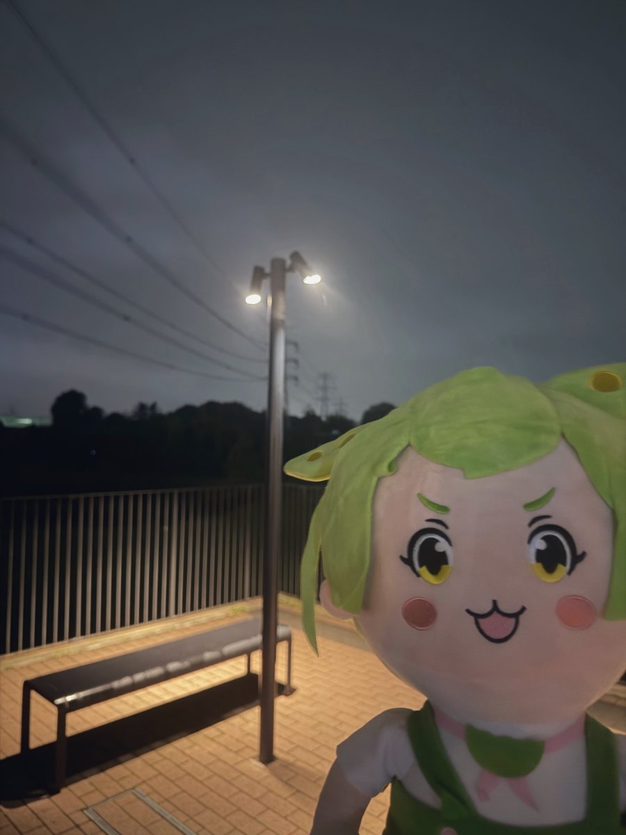 neru_sleep's tweet photo. https://t.co/qRuy5gJmMO