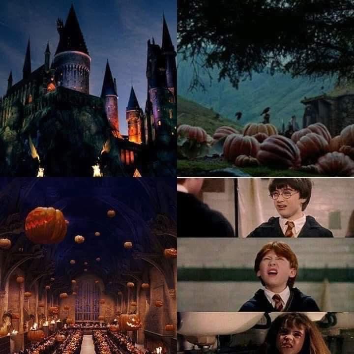 Indie5051's tweet photo. Mañana es octubre y comienza la temporada de estas grandiosas películas 🎃 https://t.co/z5fXkZFzkU