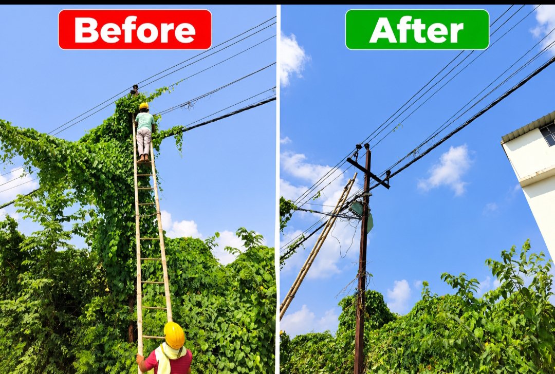 ESD_DANAPUR's tweet photo. ⚡🌿 विद्युत वितरण तंत्र का संरक्षात्मक अनुरक्षण एवं परिचालनिक सुदृढ़ीकरण 🌿⚡

📍 उसरी–हथियाकांद–सराय रोड
🏢 आनंद बाजार प्रशाखा | विद्युत आपूर्ति प्रमंडल, दानापुर (1/5) https://t.co/xwgaO05kVW