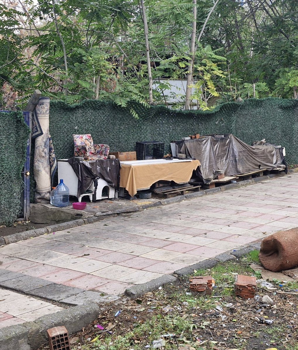 KediSorunu's tweet photo. Esenler otogar çıkışı. Bayrampaşa belediyesi sorumluluk alanı. Kaldırım işgali olan bu kedikondunun kaldırılmasını talep ediyoruz. @bpasabelediyesi https://t.co/MGad37r8w0