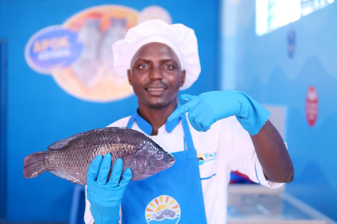 larebae_1's tweet photo. Freshness has a new home in Mbarara! 🐟

This Friday, 2nd October, Yalelo Uganda opens its doors at Tataitwe Building. 

Come experience fresh, tasty and quality fish made for every occasion.

#YaleloInMbarara #UgandasNo1Fish https://t.co/DGPJZk55ZP