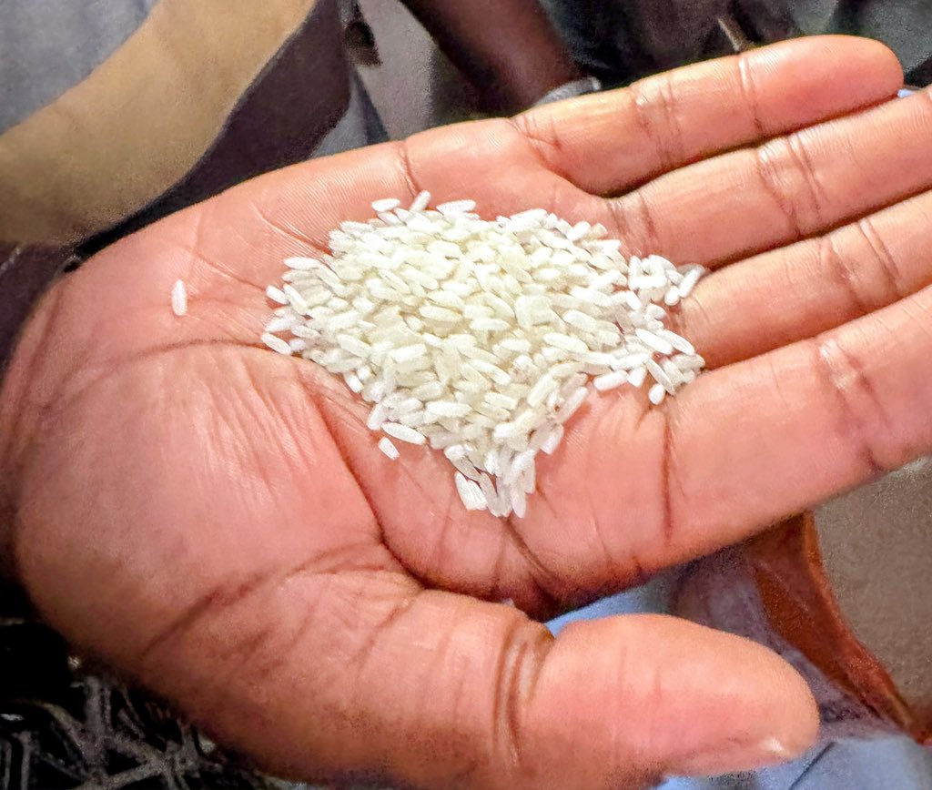 MASAE_sn's tweet photo. JOUR 3 | SAINT-LOUIS, DU STOCK À LA COMMERCIALISATION

Après avoir placé hier la production, la mécanisation et la commercialisation au cœur des échanges, cette troisième journée permet d’aller plus loin dans le suivi de la chaîne de valeur rizicole.

De Richard Toll à Thiagar, Bépart, Kassak Nord et Nahadi Deret, le Ministre Dr Cheikh Oumar Bâ a suivi l’avancement de la campagne d’hivernage, visité des rizeries, des stocks de paddy et de riz blanc, ainsi que des infrastructures dédiées au triage, au stockage et à la gestion des semences.

Sur les différents sites visités, l’objectif reste le même : mieux comprendre les réalités de la production, de la transformation et de la conservation du riz, tout en identifiant les contraintes qui affectent les producteurs et les opérateurs de la filière.

La journée s’est achevée par un échange direct avec les producteurs du département de Dagana. La mévente du riz, la structuration du CIRIZ, la pression aviaire, mais aussi le coût élevé de l’électricité, ont notamment été au cœur des préoccupations soulevées.

Dans ce contexte, la solarisation apparaît comme une piste de solution à explorer pour contribuer à réduire les charges énergétiques et améliorer la compétitivité des unités de production et de transformation.

Ces échanges ont permis de poser les bases d’une réflexion sur des solutions structurelles et durables, construites avec les producteurs et l’ensemble des acteurs de la filière.

Après le champ et la mécanisation, le regard se porte désormais sur les semences, les stocks, la transformation et le marché. Parce que produire davantage n’a de sens que si notre production est aussi conservée, transformée et commercialisée dans de bonnes conditions.