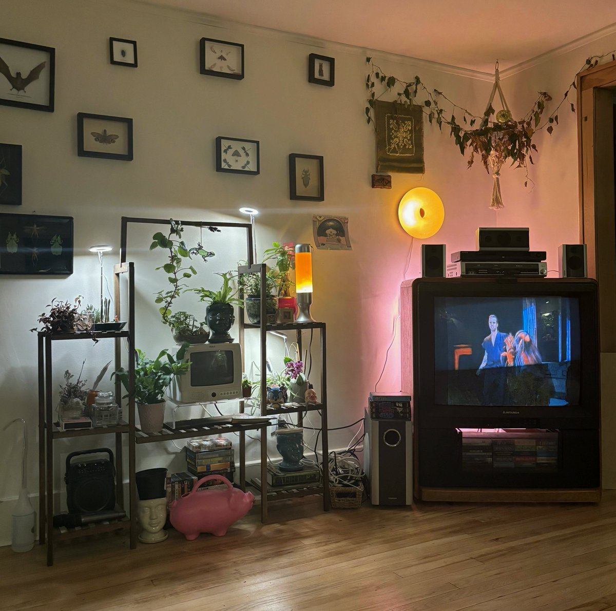 MargaretNeijab's tweet photo. Detroit, MI got rid of my modern flat screen and replaced it with bugs, plants, and a crt tv!
#LivingSpace #Split https://t.co/TKIWwuNpDs