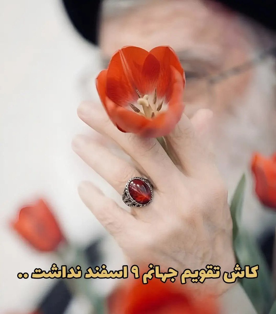 p80ya's tweet photo. حمایت انقلابی🫴 

#فالو_بک_تضمینی https://t.co/XzjXBhGW2L