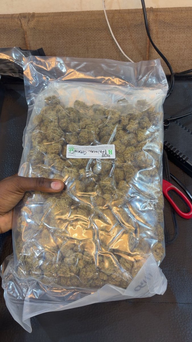 MbargaJean10's tweet photo. SAME DAY EXOTIC CANDY WEED DELIVERY REAL ZAZA Cali kush buds flower THC Vape Hash, London, Manchester, Birmingham, Liverpool, Bristol
Dublin, Cork, Galway, Limerick, Waterford
Edinburgh, Glasgow, Aberdeen, Dundee, Inverness
Prague, Brno, Ostrava, Plzeň, Liberec, ,Istanbul, Ankara https://t.co/vUG8n6ayuB