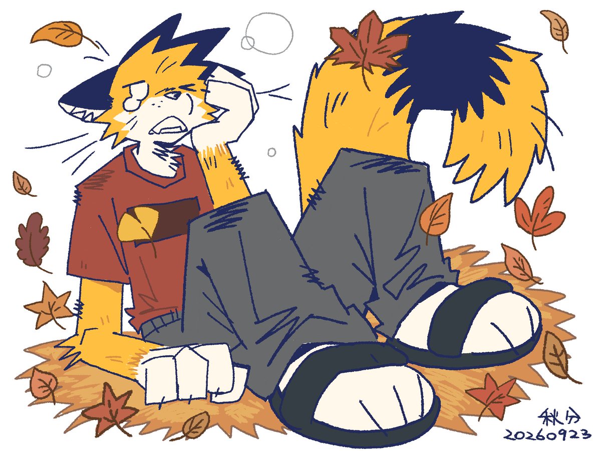 burritooo918's tweet photo. 🍂 https://t.co/KCzbOOfKIP