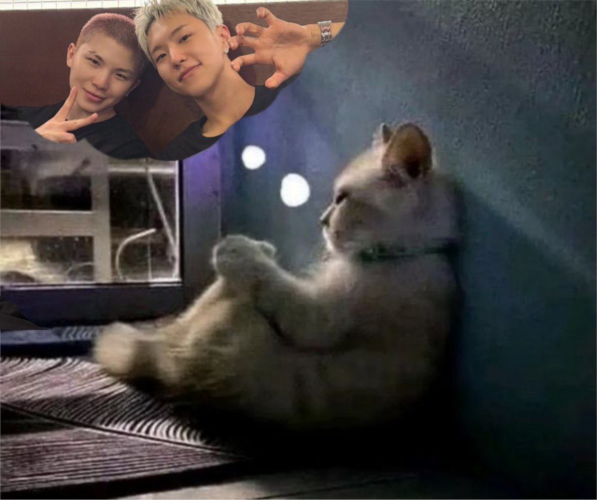 howoosol tweet picture