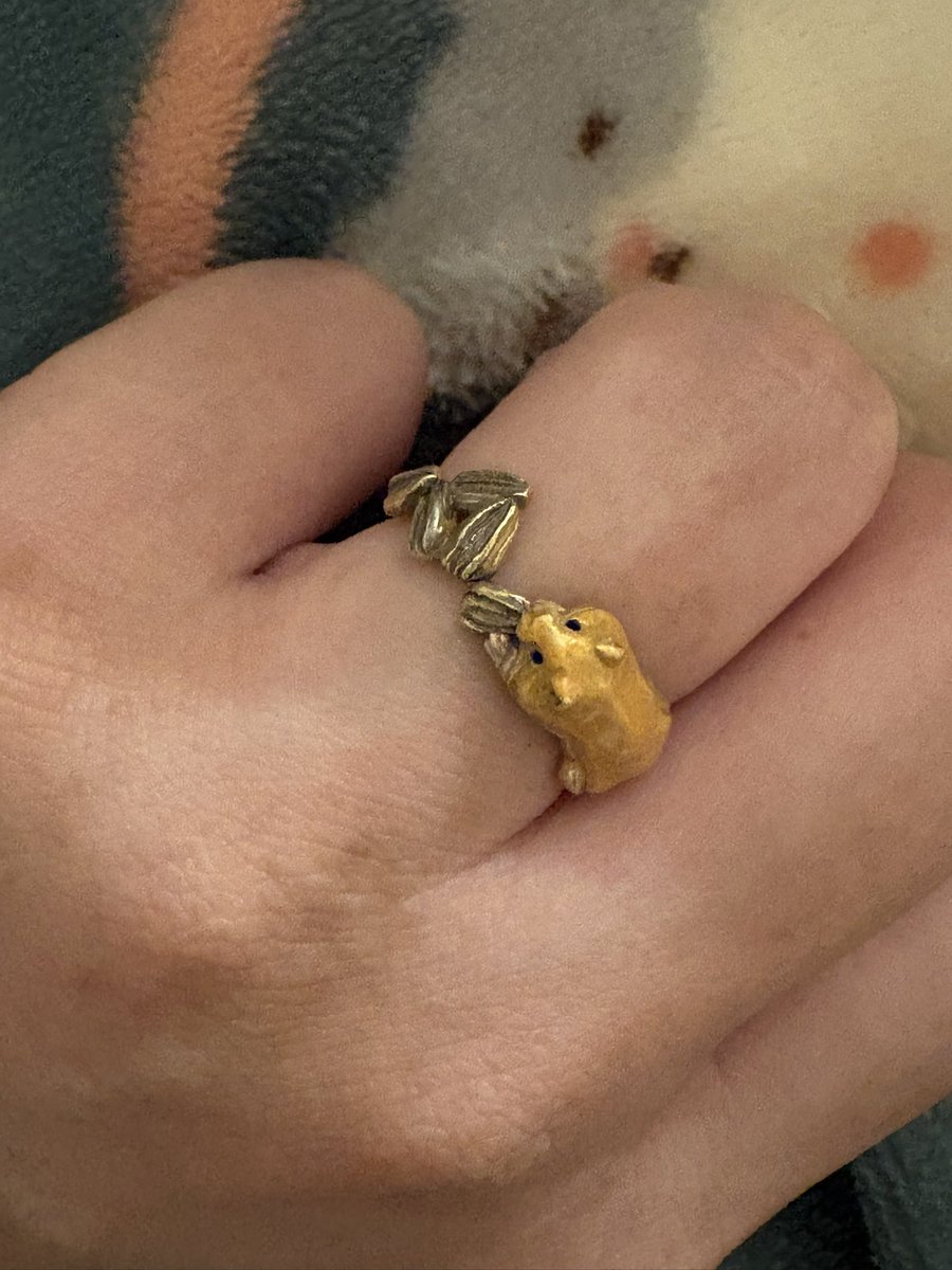 ckckck4810's tweet photo. 旦那がハムリング買ってくれた！！！！
結婚指輪いらねぇそんなものより旅行に行きてぇって私が言っているので我が夫婦に結婚指輪は無いんですけど笑
付けてないことをたまに言われるのでこれつけておきます！！！！やたー！！！！ハムリングー！！！！！ https://t.co/xVP8uWzmFT