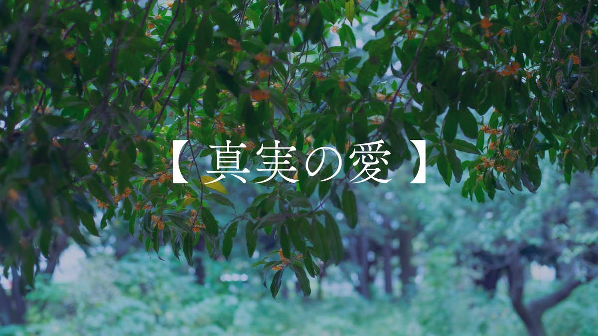 asanatsu_rei's tweet photo. 金木犀の花言葉を知っていますか？ https://t.co/KHYefrf357
