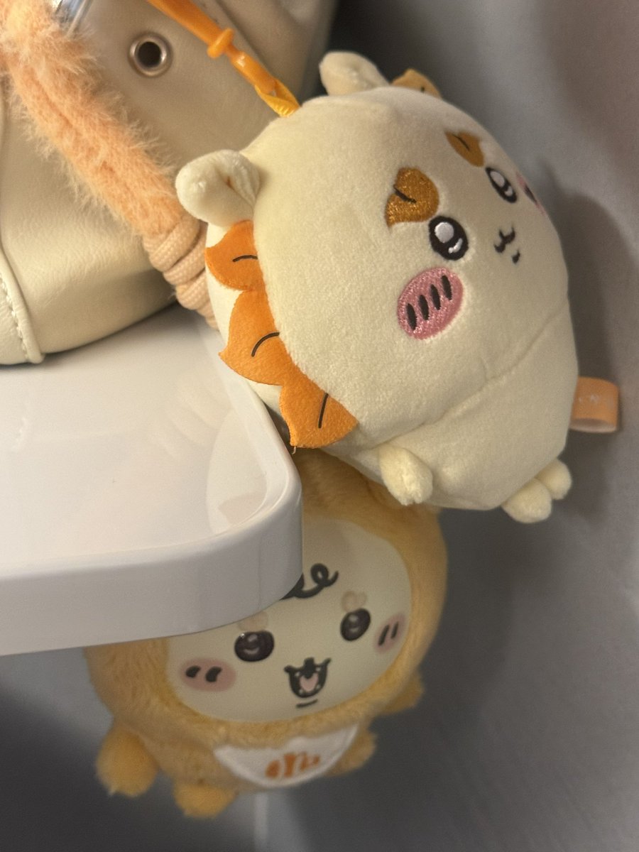 m6k29miki's tweet photo. 日帰り都内！
素敵な方々とお仕事
させていただけて心が温かくなりました♪ https://t.co/pIqF5ZlD9m