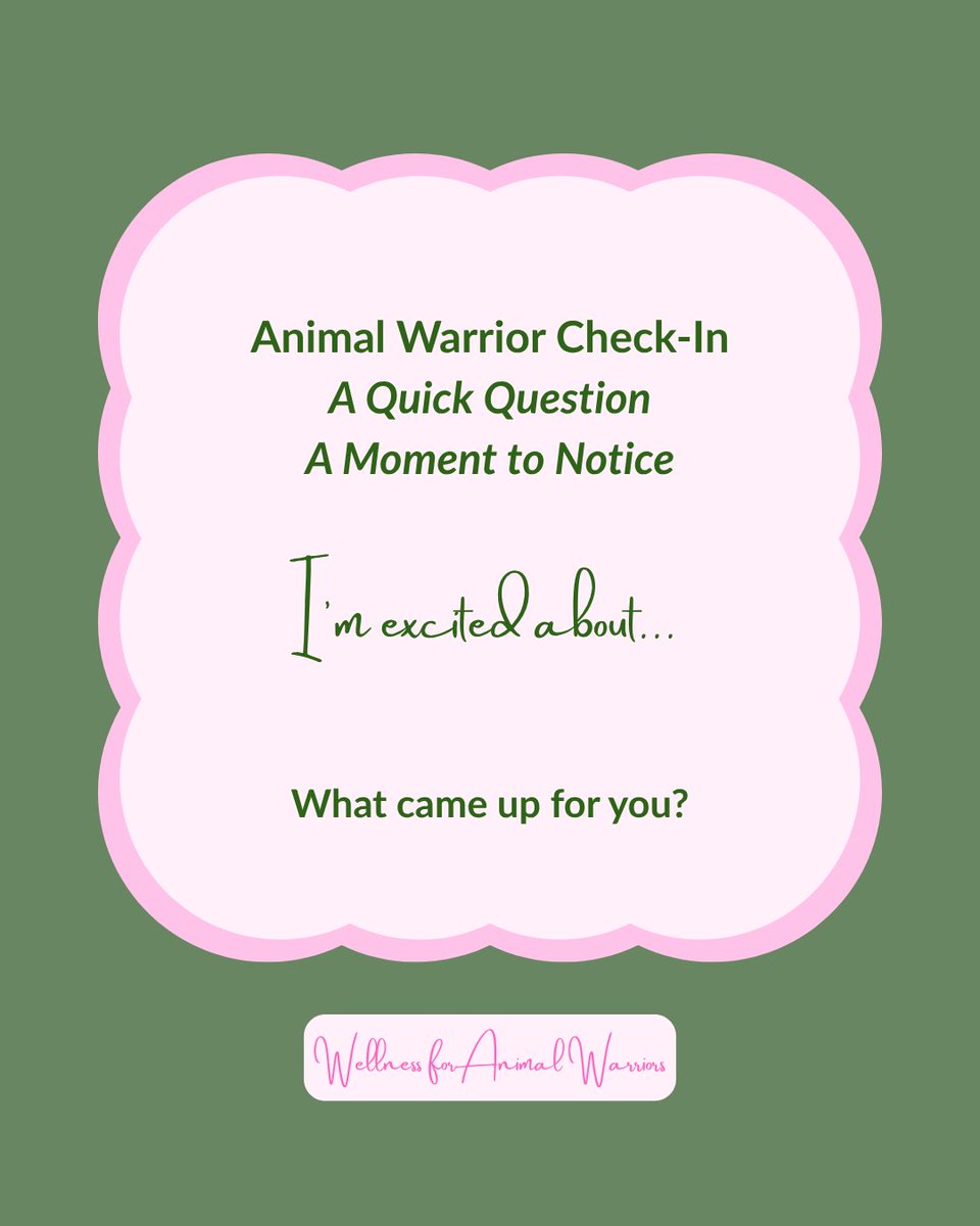 WAnimalWarriors's tweet photo. It can be hard to notice what's on your mind in animal rescue. This prompt is a simple way to check in. #AnimalRescue #DogRescue #CatRescue #horserescue #TNR #trapneuterreturn #Vet #VetNurse #VetTech #AnimalShelter #AnimalSanctuary #Veterinarian #animalrescuer #sheltervolunteer https://t.co/OeIjiQU4Wz
