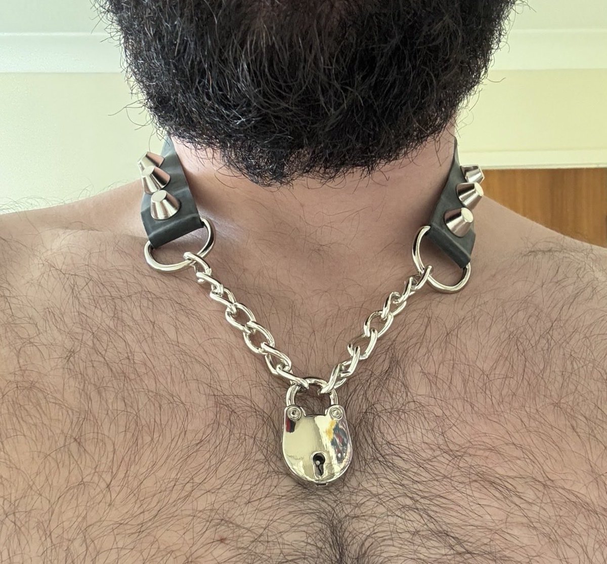 Goddess_may64's tweet photo. my puppy got his collar today! im obsessed 😍🔐 https://t.co/Ee2xGhThB1