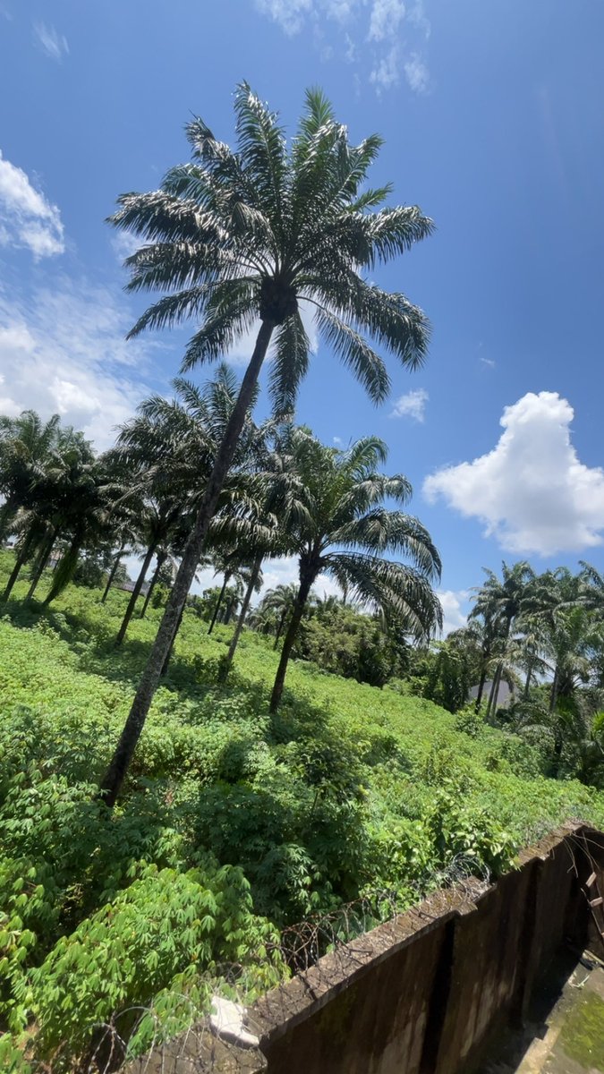 call_mi_cruz's tweet photo. What’s your weather like today? Mine’s sunny 🌞 https://t.co/BDOio4oaD2