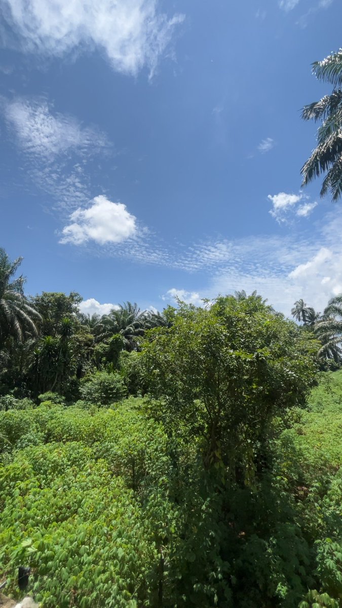 call_mi_cruz's tweet photo. What’s your weather like today? Mine’s sunny 🌞 https://t.co/BDOio4oaD2