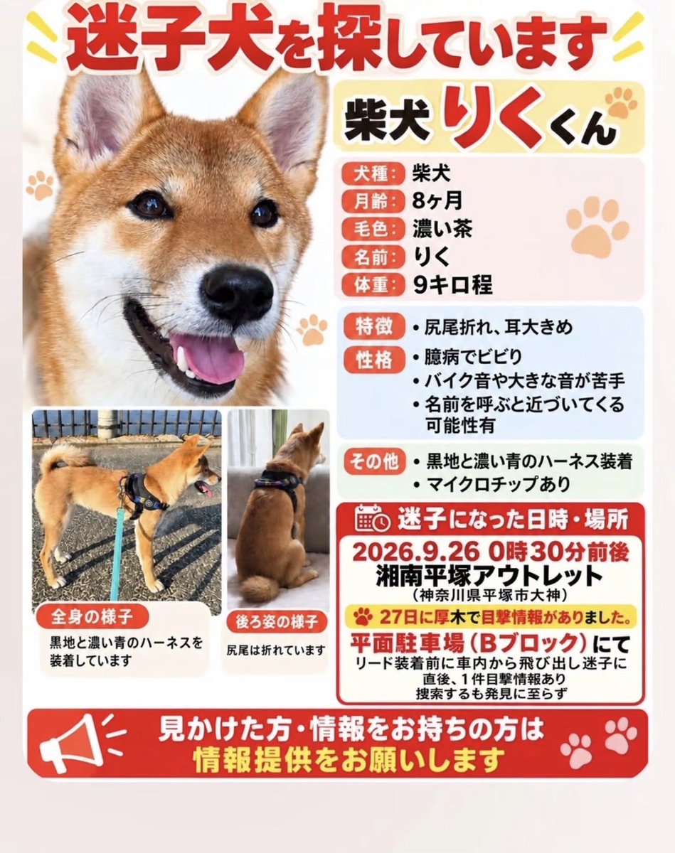 ORIX_0209's tweet photo. フォロワーさんのわんちゃんがハーネス付きで迷子になってます。拡散よろしくお願いします。早く見つかりますように。#神奈川県 #迷子犬 https://t.co/RuS3vw42Q6