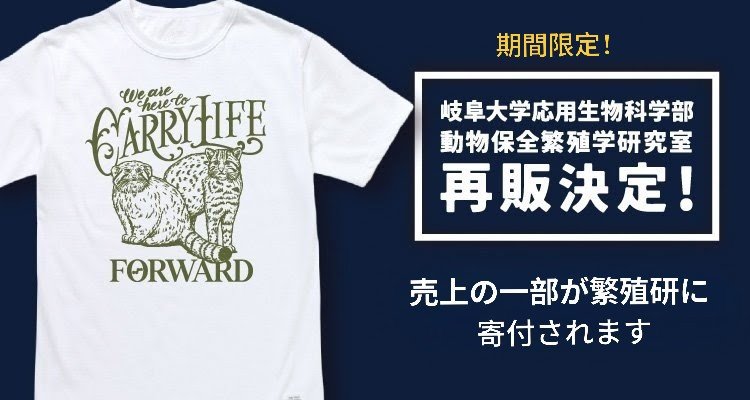 zooreplab's tweet photo. JAMMIN✖繁殖研コラボ【ツシマヤマネコ＋マヌルネコ】チャリティTシャツなど
好評だったため、10月のヤマネコイベントにあわせて再販されました！売上の一部が繁殖研への寄付になり、繁殖研の活動費になります。まわりの方々にぜひご紹介お願いします🙇

JAMMIN再販サイト
▶https://t.co/a1Tbk8zZ9D https://t.co/xS2epmleGZ