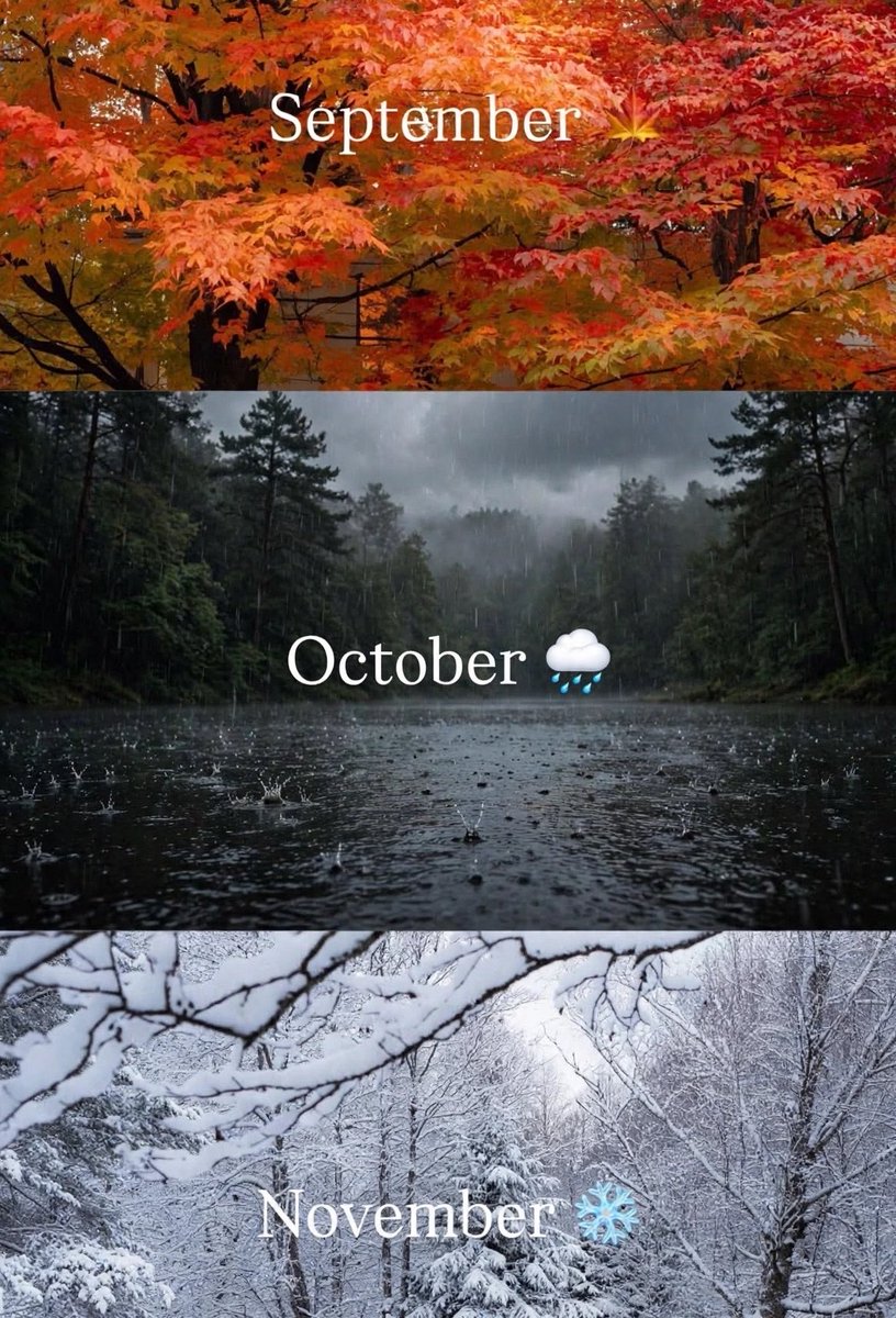 spooky_nature's tweet photo. https://t.co/xmQQwD9ki8