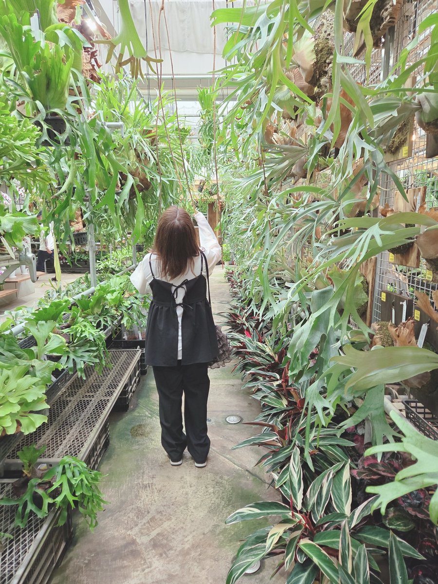 fjord0729's tweet photo. ながまると4時間も植物デート🌿
ピーマンあげて卵もらった🥚 https://t.co/cwltXmbcLR