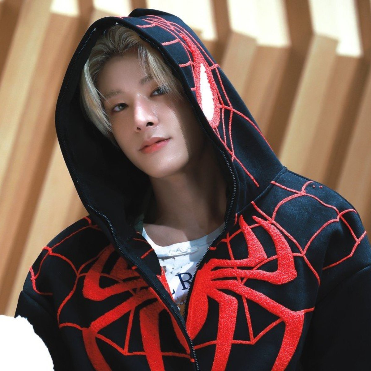 jakeyclub's tweet photo. SPIDER JAKE SLOGAN OMGG 😭 https://t.co/lBZ74kHsoG