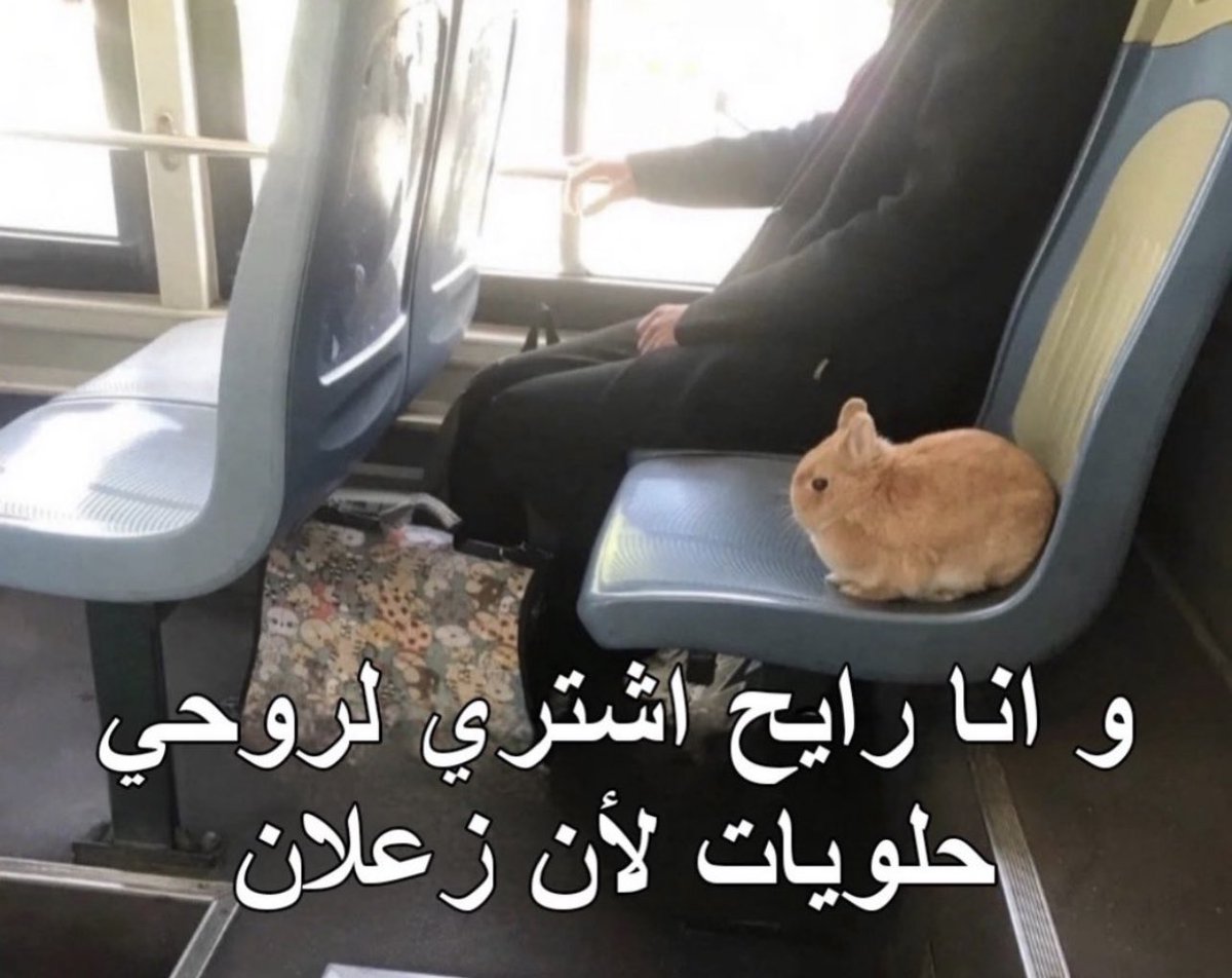 QueenSisi24's tweet photo. يتم https://t.co/EBeS4Haqcg