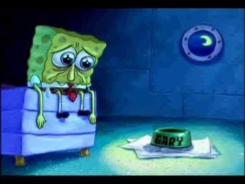 punklizardd's tweet photo. tive um sonho tao lindo acordei chorando muito me sentindo o bob https://t.co/h3TUHAR0UE