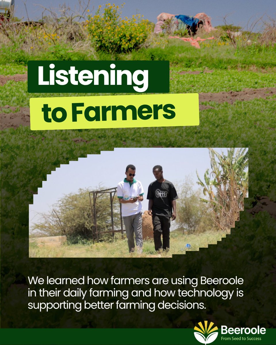 beerooleApp's tweet photo. The Beeroole team visited farms in Arabsiyo to meet farmers who have been using the Beeroole app and hear directly from them.

#Beeroole #Arabsiyo #Farmers #AgTech #Agriculture #Somaliland https://t.co/D7NwuSaamg