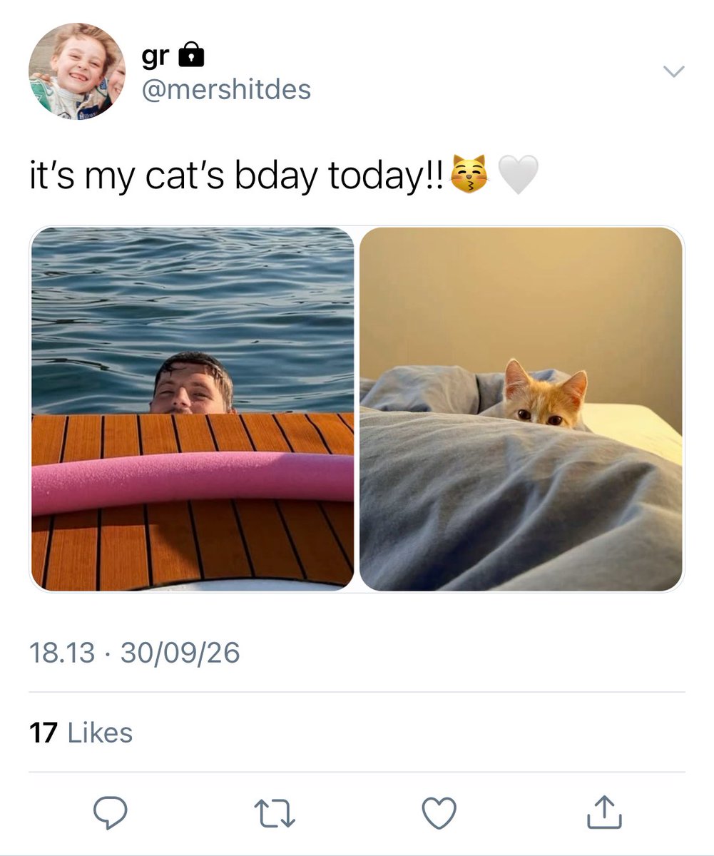 seventhlane's tweet photo. #russtappen 3363 one tweet au — happy birthday, max catstappen!😼🤍 https://t.co/6MYplbjDKB