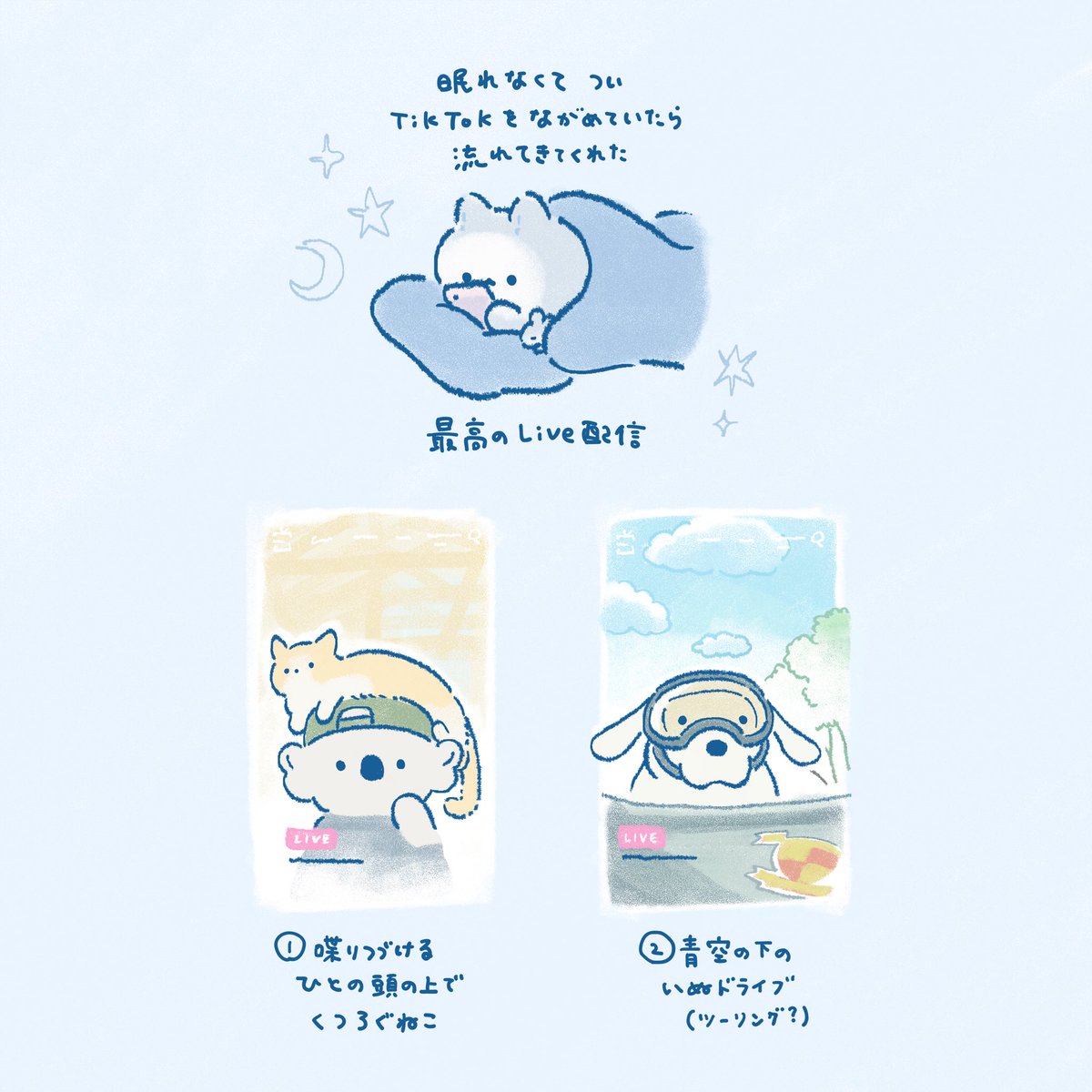 nekofton_sub's tweet photo. 海の向こうは良い天気☀️🐈🦮 https://t.co/UE8jFTOMHx