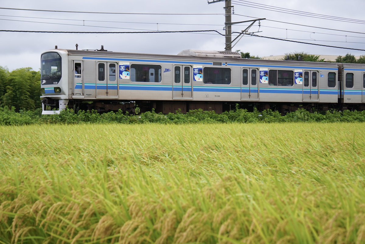 ma_ru_go's tweet photo. 〜りんかい線30周年HM・ラッピング終了〜

どんな車両もスッピンのいつもの姿が好みなのでこの手の装飾はあまり撮らないことが多いですが、好みのデザインだったので少し追っかけました
アクリルスタンド・クリアファイルを発売してくれたのもポイント高いですね！ https://t.co/66enKinbXr