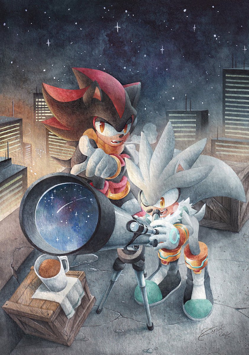 Finik_sempai's tweet photo. Stargaze ✨
-----------------------------------
Сommission for @Amatsu_Mon

#ShadowtheHedgehog
#SilvertheHedgehog https://t.co/b6qjfq0g59