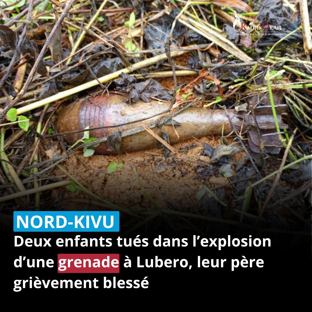 radiookapi's tweet photo. Deux enfants ont été tués lundi à #Lubero dans l’explosion d’une grenade retrouvée dans un champ. Leur père a été grièvement blessé. L’origine de l’engin reste inconnue. L’administrateur du territoire précise que la zone est sous contrôle de la rébellion.
Lire ➡️ https://t.co/dqpuSKGkPe