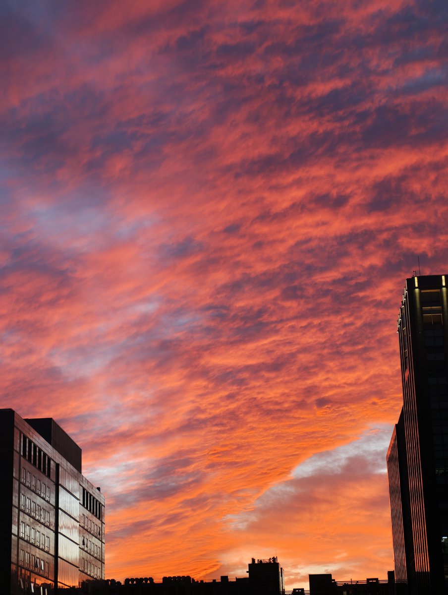 SpoxCHN_MaoNing's tweet photo. Spectacular sunset today! 🌇 https://t.co/2eFfTpNrJU