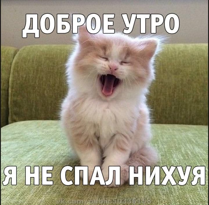 Ksasha_222's tweet photo. https://t.co/5cTzmM1jf1