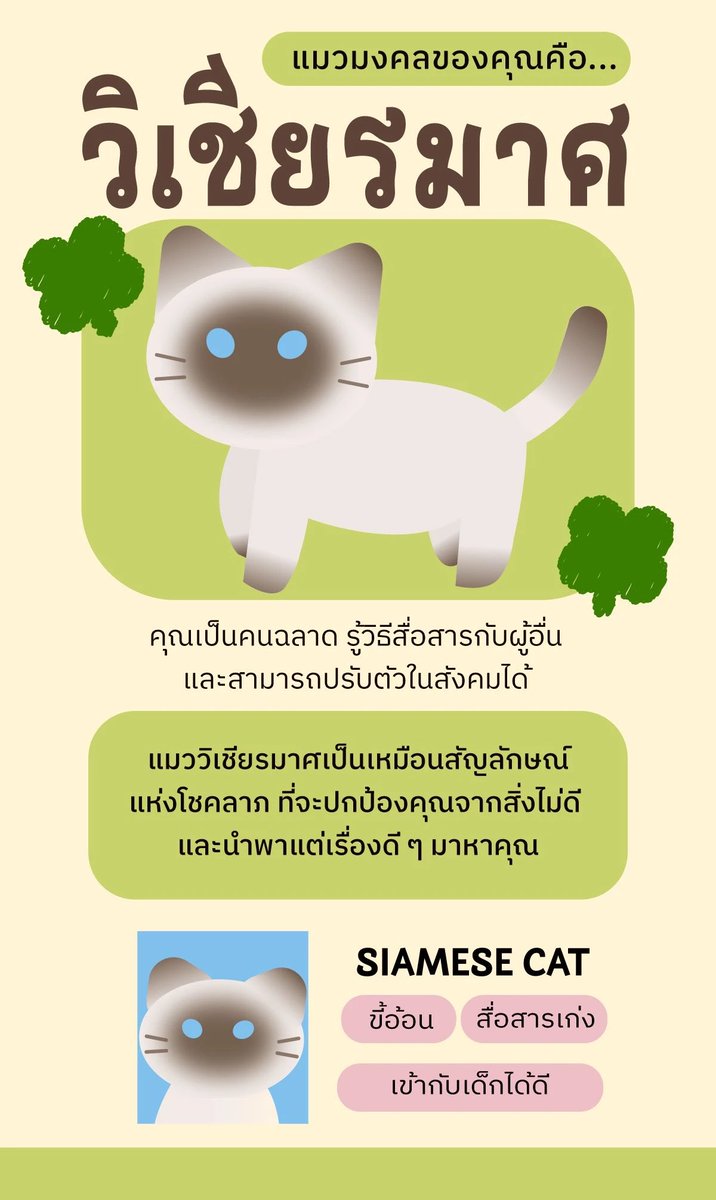 alincharm's tweet photo. ทุกคนเป็นแมวมงคลอะไรกันค้าบ ของเค้าเป็นน้องหน้าไหม้ - วิเชียรมาศ น่ารักมาก มีความหมายให้อ่านด้วยน้า ใครได้น้องคนไหนอย่าลืมเอามาอวดกันน้าา รอส่องน้องๆนะค้าบ 👀💗

🔗 https://t.co/UVqFV1vm45 https://t.co/t8A7CipWUq