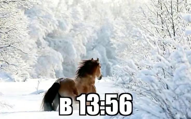 CyperFall1's tweet photo. @DidPutinDie2day клянусь, завтра https://t.co/rvbMwzq89h