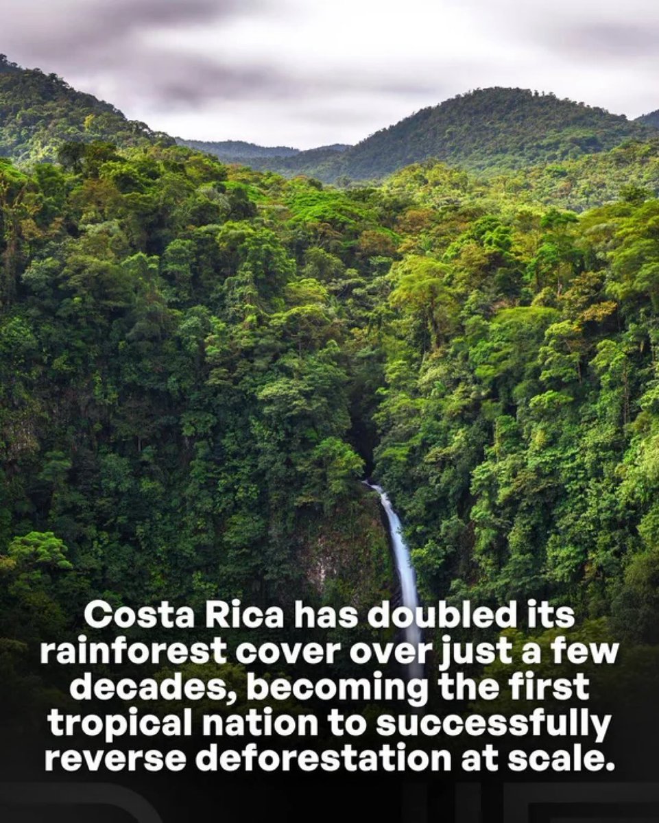 Rainmaker1973's tweet photo. Costa Rica is the first tropical country in the world to successfully reverse deforestation, nearly doubling its forest cover from a historic low of 21–26% in the 1980s to nearly 60% today. https://t.co/xKhuAwylQg