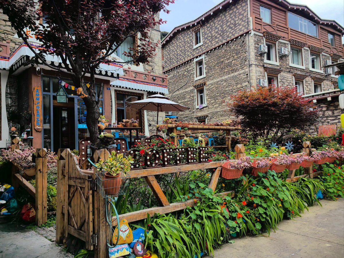 mardiah1994's tweet photo. [In the cozy town of Guba Cai, every corner holds warm vibes and delicious mushroom vibes too!] https://t.co/YWTASMRWS9