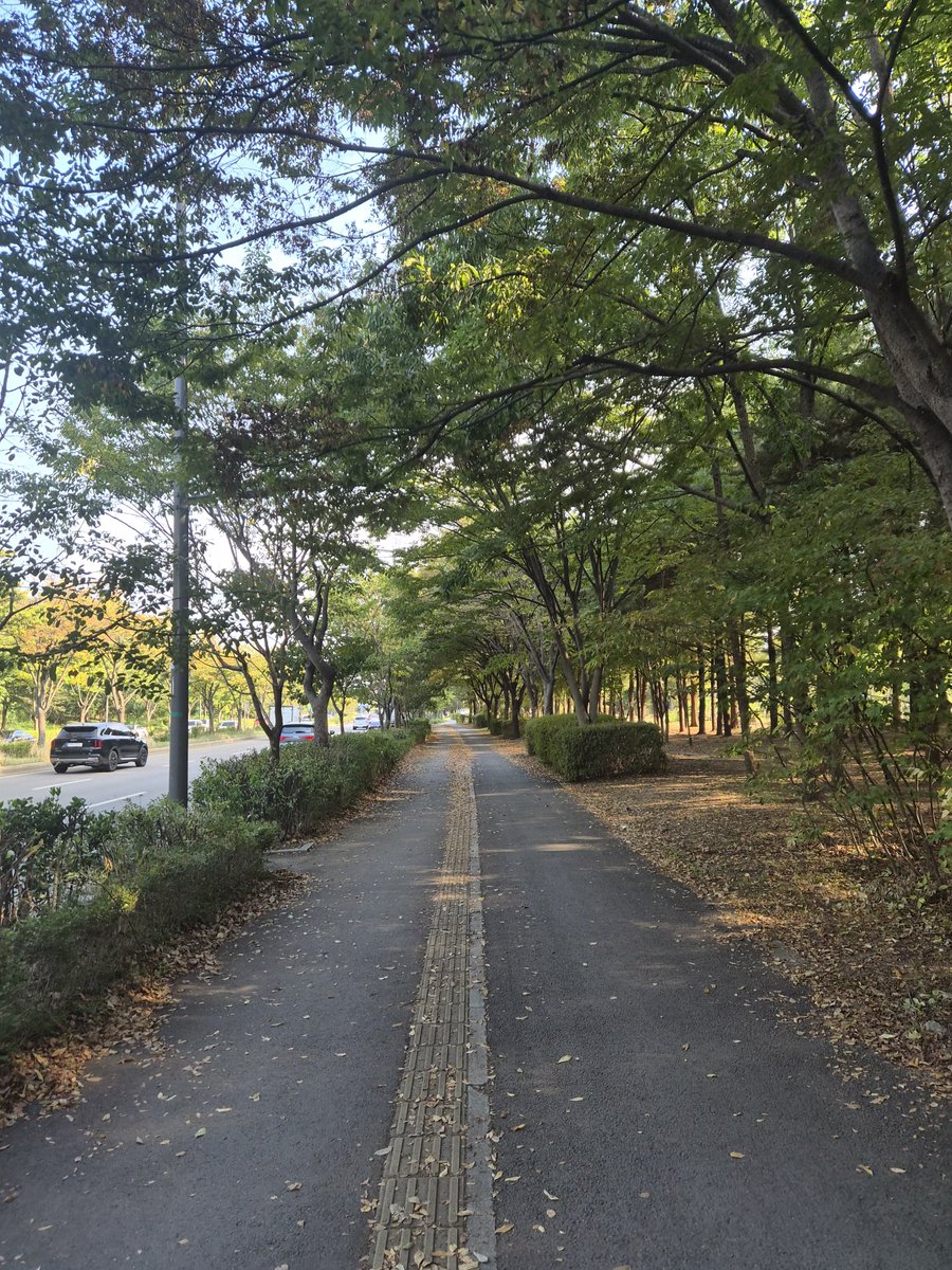 translatingTXT's tweet photo. [260930] weverse dm 🐧💬

🐧 the weather is so nice today
🐧 i went running in the morning
🐧 and it put me in a great mood to run while looking at the scenery 
🐧 i’ll come running tk (*typo for ‘to’) y/n
🐧 please accept my heart
🐧 i love you
🐧 i’m telling you i love you heh
🐧 please look at me
🐧 did you enjoy to do?
🐧 i’m currently on standby for a shoot
🐧 what the shoot is for is a secret hehe
🐧 my love for taehyun is 
🐧 absolutely very sincere…
🐧 i was eager heh
