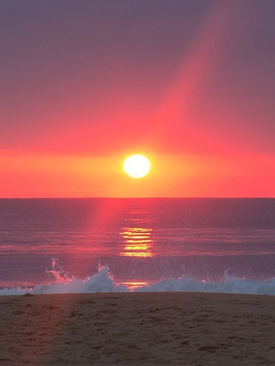 EnderEd777's tweet photo. Wednesday Greetings
- Delmarva Sunrise (c. ajemm on flickr)

#photography #photo #foto #sunrise #delmarva #gooddayphotos https://t.co/umQkH9JHlK