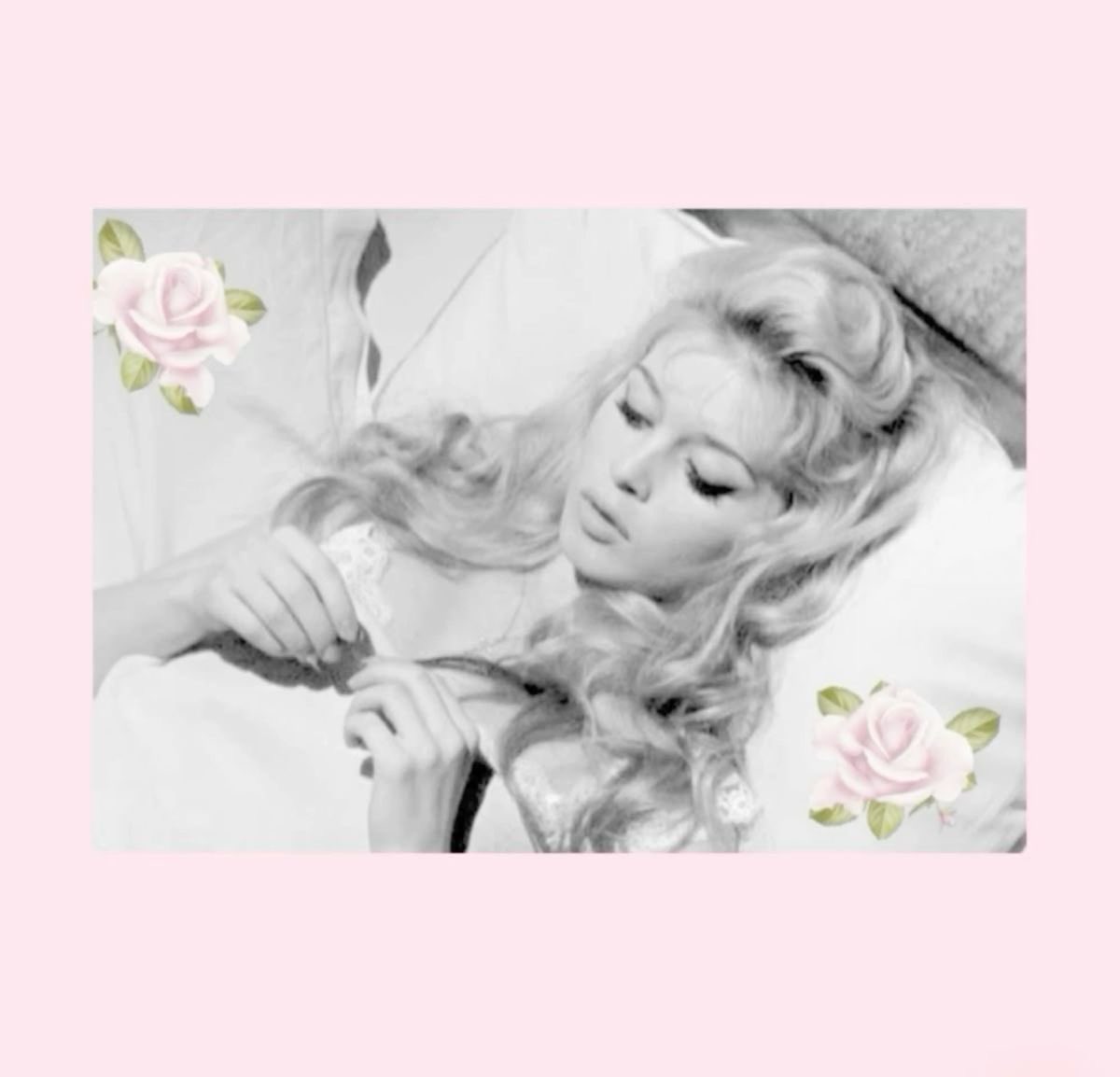 lacescent's tweet photo. https://t.co/6PFy0uupA3