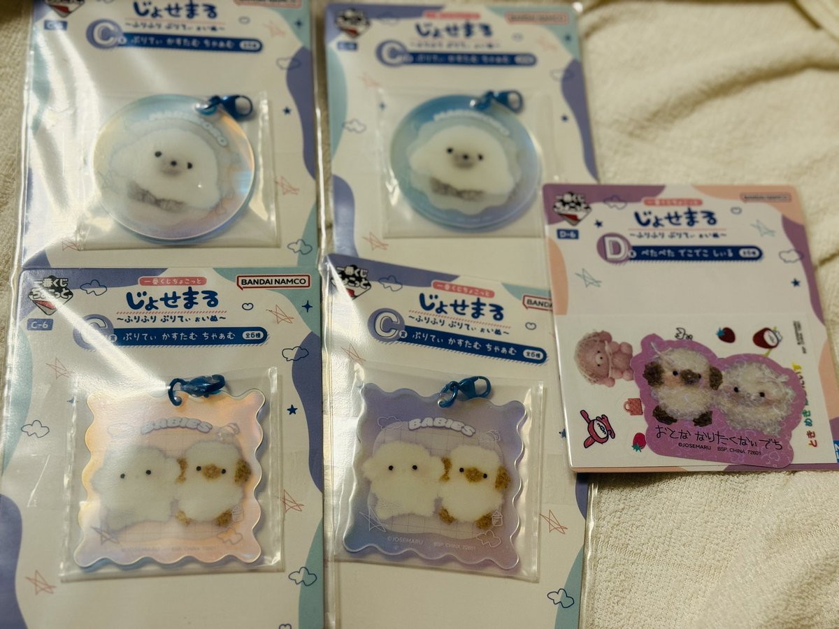 O826D__'s tweet photo. 【交換・譲渡】一番くじちょこっと　じょせまる〜ふりふり ぷりてぃ ぉいぬ〜

譲　画像C・D賞(まるころ・べびず)
求　定価or定価+送料

都内(場所時間要相談)手渡し・郵送可
お気軽にお声がけください！ https://t.co/uDyTVfEnpI