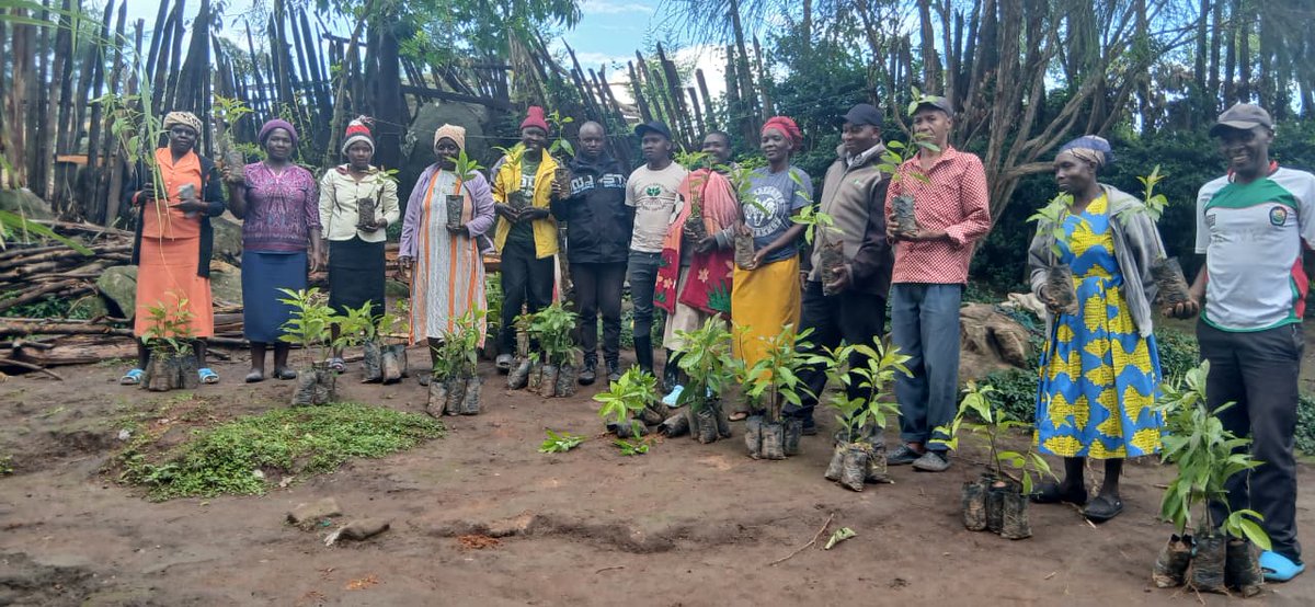 Nature_Kenya's tweet photo. In Nandi, local Site Support Groups are leading landscape restoration through community avocado nurseries. 

Supported by the #DarwinNandiProject, the initiative is creating new opportunities for farmers while linking livelihood diversification with environmental conservation. https://t.co/xaRNAiDye0