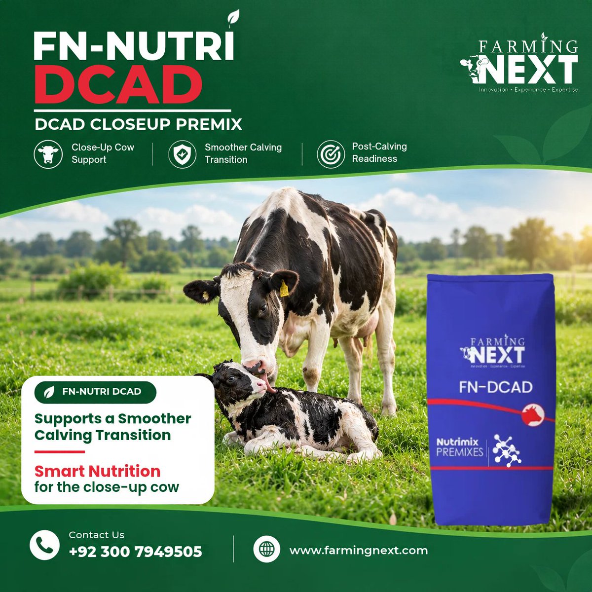 farmingnext555's tweet photo. 𝐏𝐫𝐞𝐩𝐚𝐫𝐞 𝐘𝐨𝐮𝐫 𝐇𝐞𝐫𝐝 𝐟𝐨𝐫 𝐚 𝐒𝐦𝐨𝐨𝐭𝐡𝐞𝐫 𝐂𝐚𝐥𝐯𝐢𝐧𝐠 𝐓𝐫𝐚𝐧𝐬𝐢𝐭𝐢𝐨𝐧.
𝐂𝐨𝐧𝐭𝐚𝐜𝐭 𝐮𝐬 𝐭𝐨𝐝𝐚𝐲 𝐭𝐨 𝐮𝐩𝐠𝐫𝐚𝐝𝐞 𝐲𝐨𝐮𝐫 𝐝𝐚𝐢𝐫𝐲 𝐧𝐮𝐭𝐫𝐢𝐭𝐢𝐨𝐧: 𝟎𝟑𝟎𝟎-𝟕𝟗𝟒𝟗𝟓𝟎𝟓
#FarmingNext #FNNutriDCAD #DCAD #CloseUpCow #CalvingTransition https://t.co/wrZcubRvsP