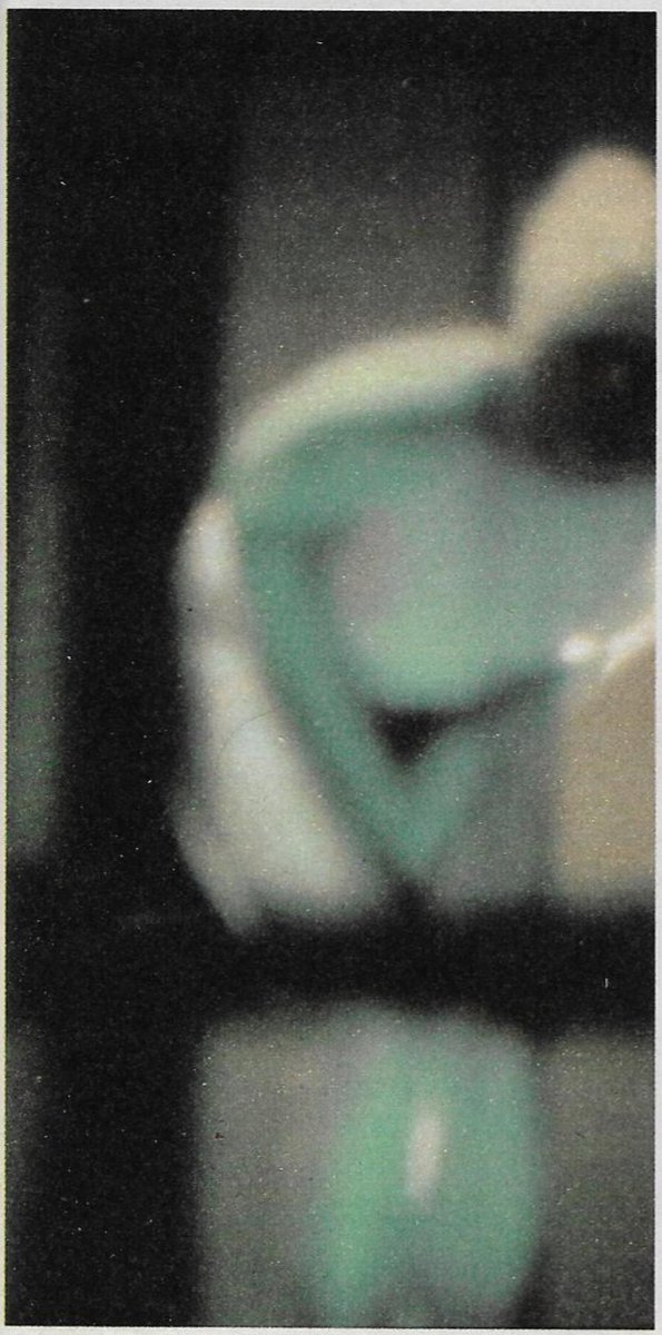 AlienArchiveX's tweet photo. In the summer of 1986, an unidentified University of Pavia professor took five color photo of an alleged alien while conducting experiments on the visual perception of dogs. The photos were published in Italy in 1988.
Full story: https://t.co/C6EVg5xOa1

#ufos #aliens #ufotwitter https://t.co/IxS3sujZcV