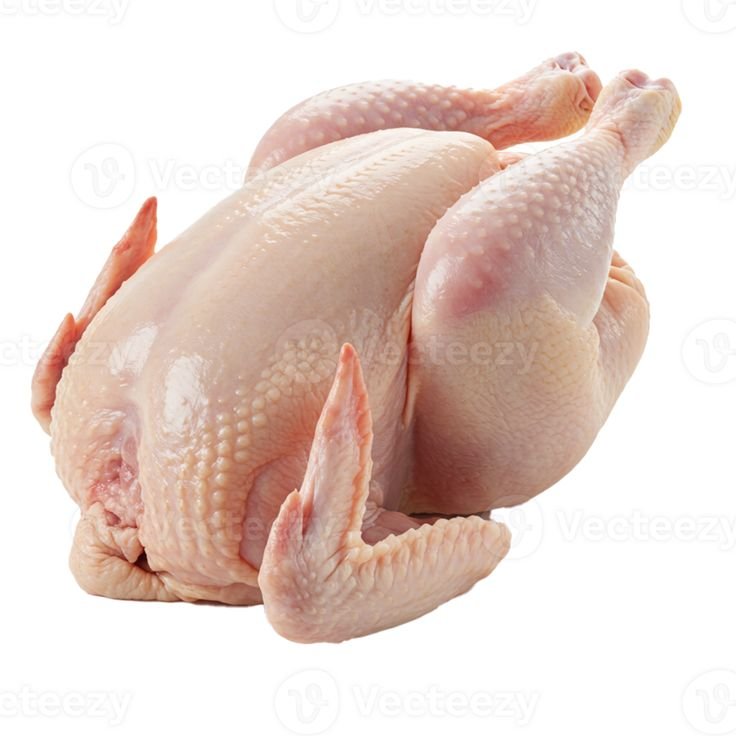 butterniya's tweet photo. i looked too closely at a chicken and saw the resemblance of two people fucking https://t.co/svKdYS0Boa