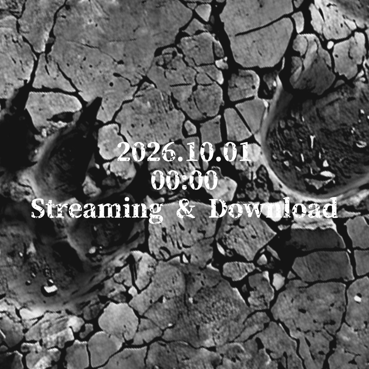 k_ta_1112's tweet photo. 2026.10.01 00:00
各音楽配信サイトにてRelease
Streaming &amp; Download

Coming soon... https://t.co/B8jtbX4anT