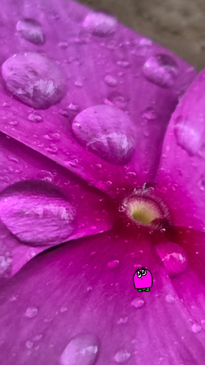 spoo_hppb's tweet photo. 雨が続くね

#はぴぽば
#LINEスタンプ
#イラスト
#ibisPaint https://t.co/oyWQ2Juxep